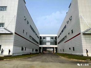桂林第四寶 華為手機普工招募，五險一金待遇優，40歲也能進廠圓夢